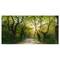 Designart - Evening in Green Forest - Large landscape Canvas Art Print